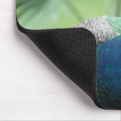 Peacock op rots muismat (Hoek)