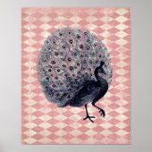  Peacock op Roze Argyle Poster (Voorkant)