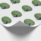 Peacock Open Fan Cadeaupapier (Hoek)