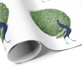 Peacock Open Fan Cadeaupapier (Rol Hoek)