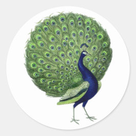 Peacock Open Fan Ronde Sticker