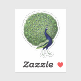 Peacock Open Fan Sticker