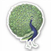 Peacock Open Fan Sticker (Voorkant)
