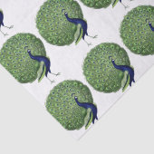 Peacock Open Fan Tissuepapier (Detail)