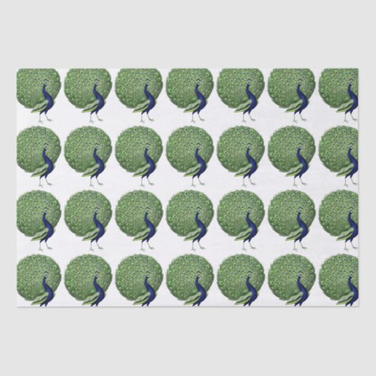 Peacock Open Fan Tissuepapier (Voorkant)