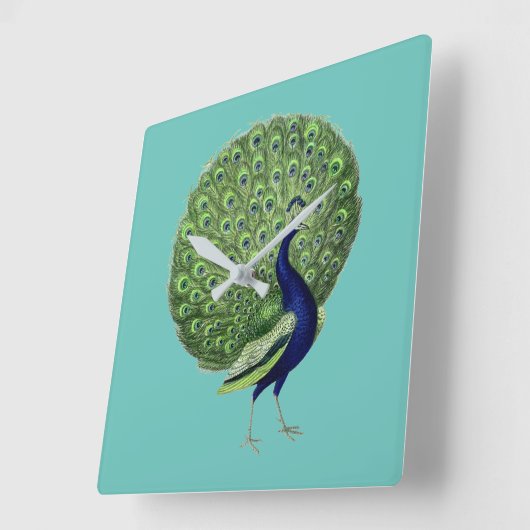 Peacock Open Fan Vierkante Klok (Hoek)