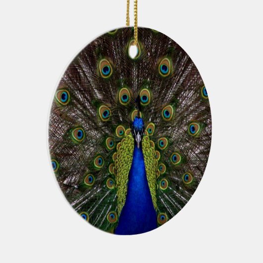 Peacock Ornament (Rechts)