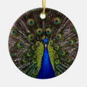 Peacock Ornament (Voorkant)
