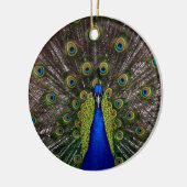 Peacock Ornament (Links)