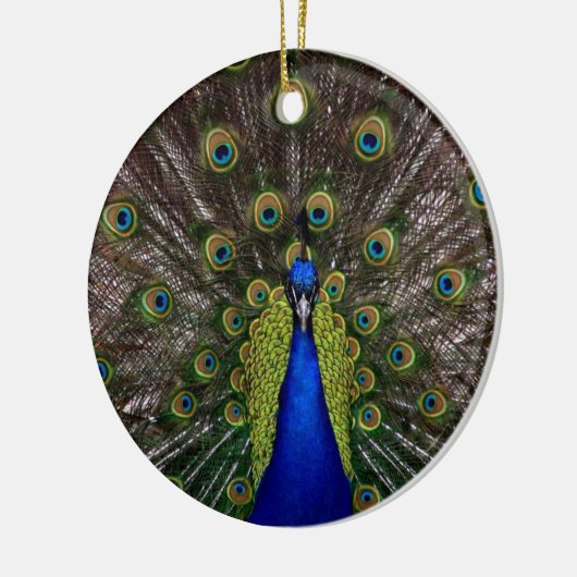 Peacock Ornament (Links)
