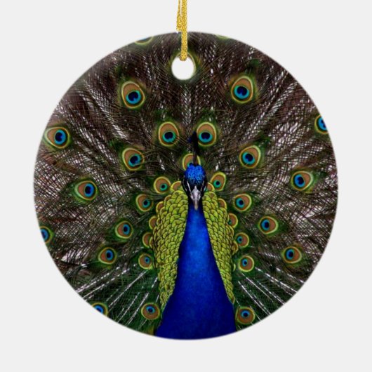 Peacock Ornament (Achterkant)