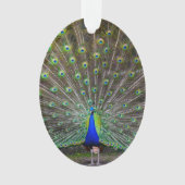 Peacock Ornament (voorkant)