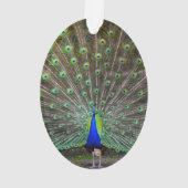 Peacock Ornament (achterkant)