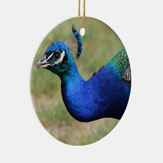 Peacock Ornament (Rechts)