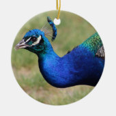 Peacock Ornament (Voorkant)