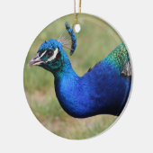 Peacock Ornament (Links)
