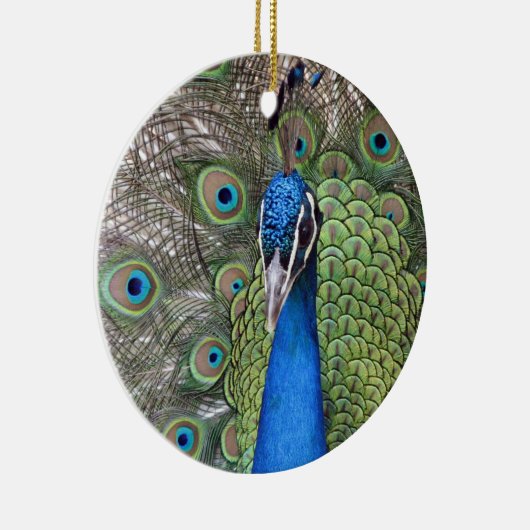 Peacock Ornament (Rechts)