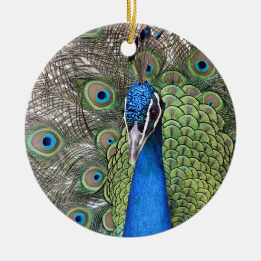 Peacock Ornament (Voorkant)