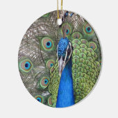 Peacock Ornament (Links)