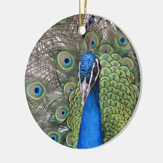 Peacock Ornament (Links)