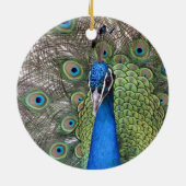 Peacock Ornament (Achterkant)