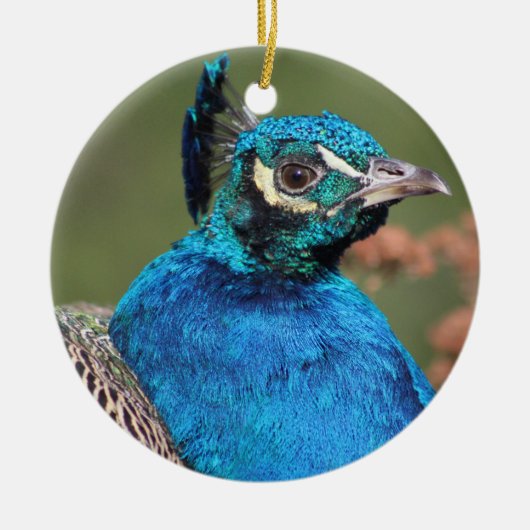 Peacock Ornament (Voorkant)