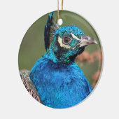 Peacock Ornament (Links)