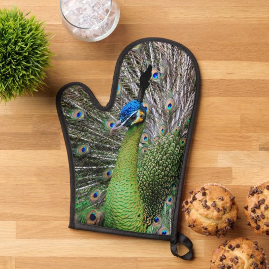 Peacock Ovenwant (Top down)