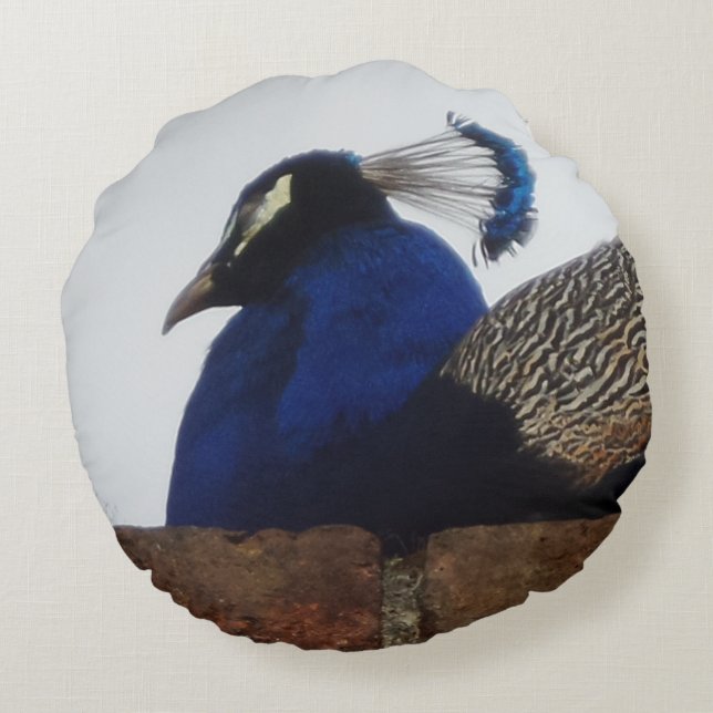 Peacock over de muur rondreis rond kussen (Achterkant)