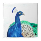 Peacock Painted Waterverf Bird Kitchen Rustic Tegeltje (Voorkant)