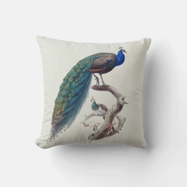 Peacock Pair Natural History Indoor Pillow R 16x16 Kussen (Voorkant)