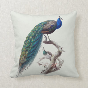 Peacock Pair Natural History Indoor Pillow R 16x16 Kussen