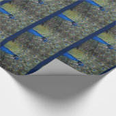 Peacock-pakpapier Cadeaupapier (Hoek)