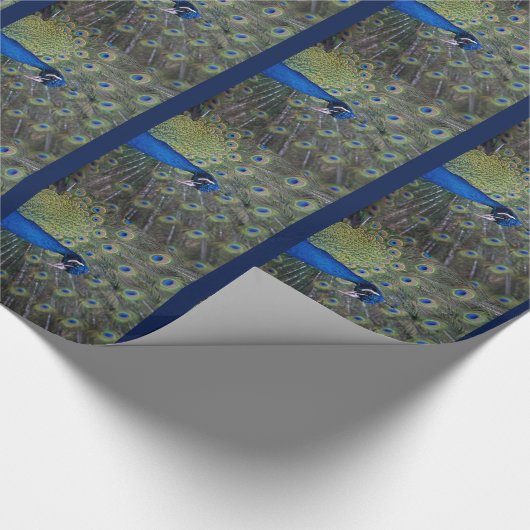 Peacock-pakpapier Cadeaupapier (Hoek)