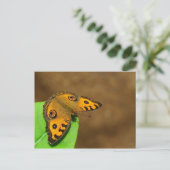 Peacock Pansy Butterfly Briefkaart (Staand voorkant)