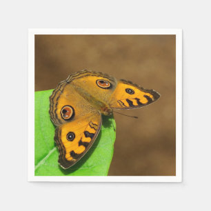 Peacock Pansy Papier servet