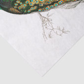peacock-papier tissuepapier (Detail)