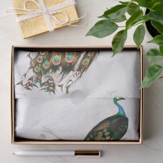  peacock-papier tissuepapier (Geschenk)