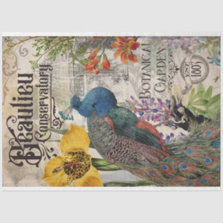 peacock-papier tissuepapier