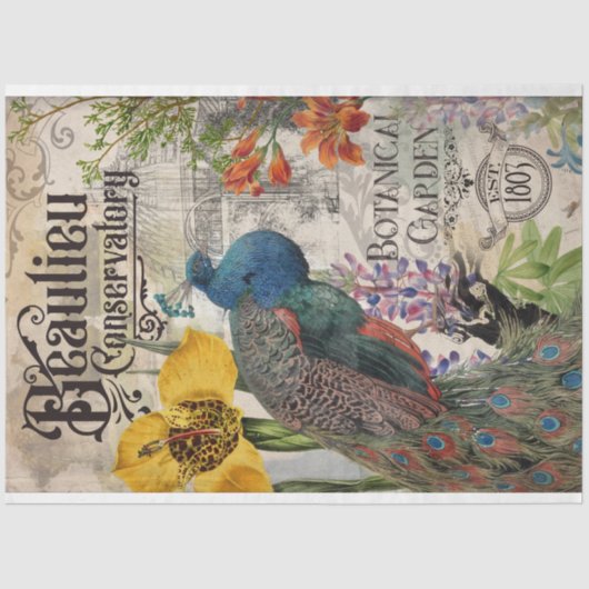 peacock-papier tissuepapier (Voorkant)