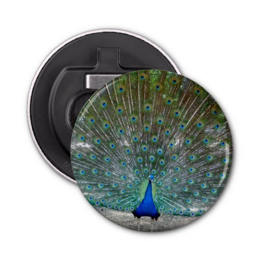 Peacock Party Bottle Opener (Voorkant)