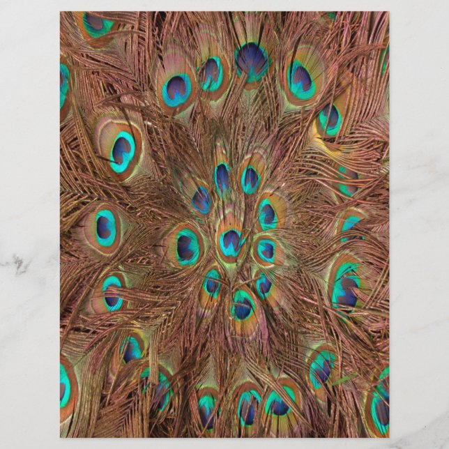 Peacock patroon Achtergrond (Voorkant)