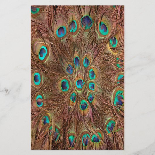 Peacock patroon Achtergrond Briefpapier (Voorkant)