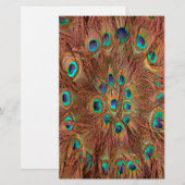 Peacock patroon Achtergrond Briefpapier (Voorkant / Achterkant)
