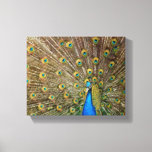 Peacock Pattern Peacock Artwork Painting Animal Ar Canvas Afdruk (Voorkant)