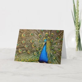Peacock Pattern Peacock Artwork Painting Animal Ar Kaart