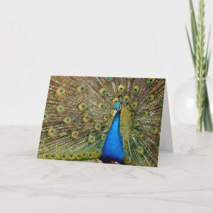 Peacock Pattern Peacock Artwork Painting Animal Ar Kaart
