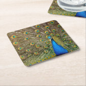 Peacock Pattern Peacock Artwork Painting Animal Ar Kartonnen Onderzetters (Schuin)