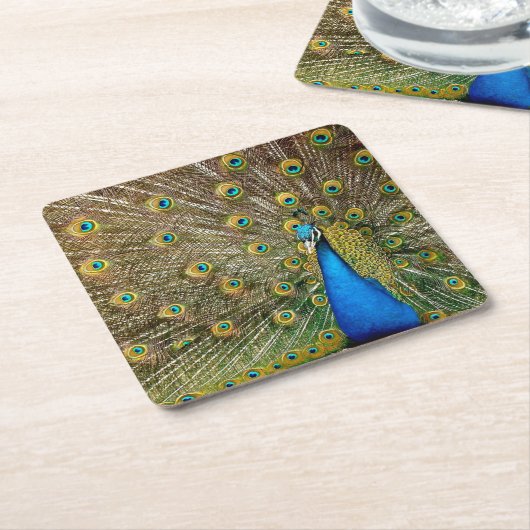 Peacock Pattern Peacock Artwork Painting Animal Ar Kartonnen Onderzetters (Schuin)