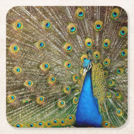 Peacock Pattern Peacock Artwork Painting Animal Ar Kartonnen Onderzetters